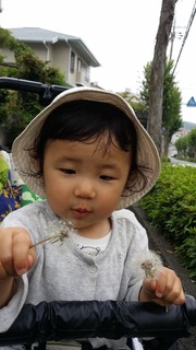 20180518_120657.jpg