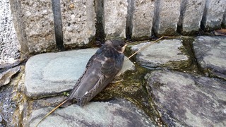 20180709_081417.jpg