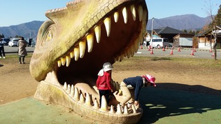 20181127_124238.jpg