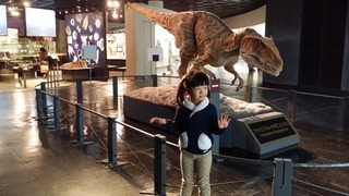 20181127_140844.jpg