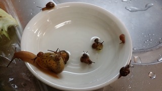 20181211_083607.jpg