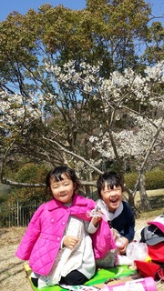 20190404_131450.jpg