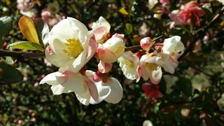 20190404_144833.jpg