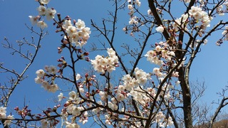 20190404_145857.jpg
