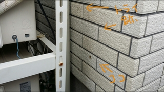 20190517_162829.jpg