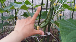 20190624_080451.jpg