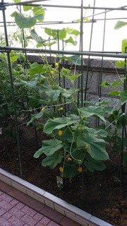 20190624_080513.jpg