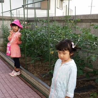 IMG_20190606_170539_392.jpg